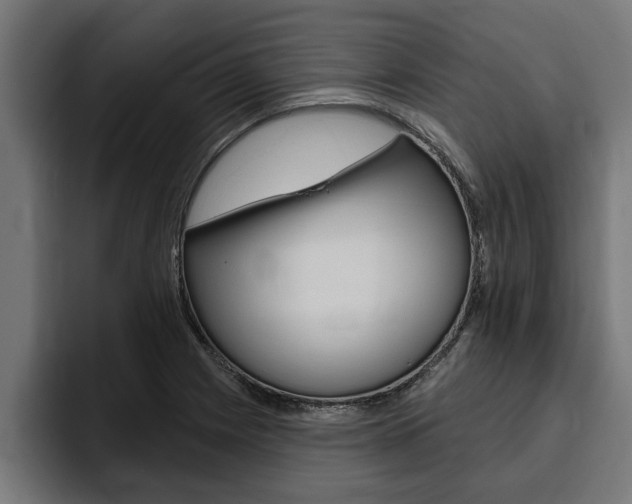 X0000094771225200711160823