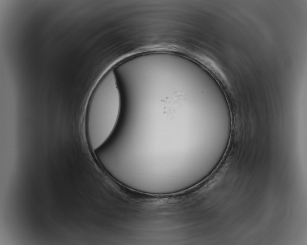 X0000094771228200711160823