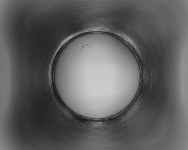 X0000094771230200711160824