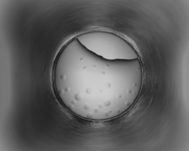 X0000094771231200711160824
