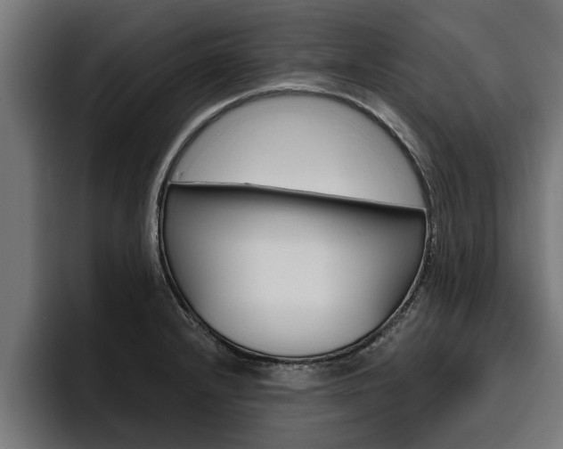 X0000094771232200711160824