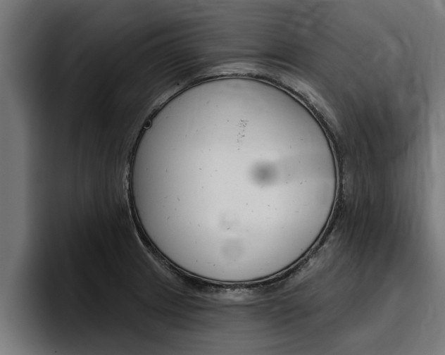 X0000094771233200711160824