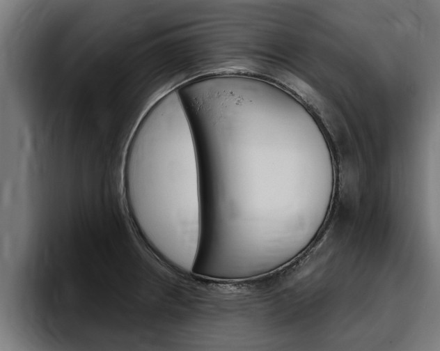 X0000094771234200711160824