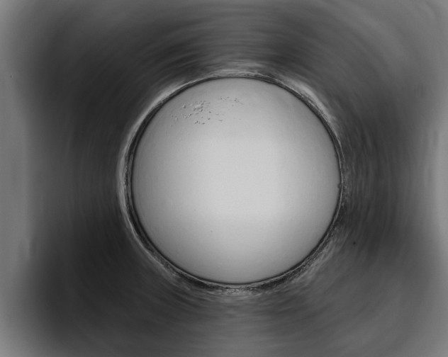 X0000094771235200711160824