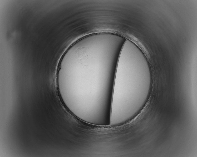 X0000094771236200711160824