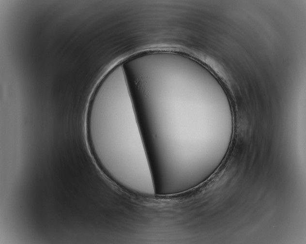 X0000094771237200711160824