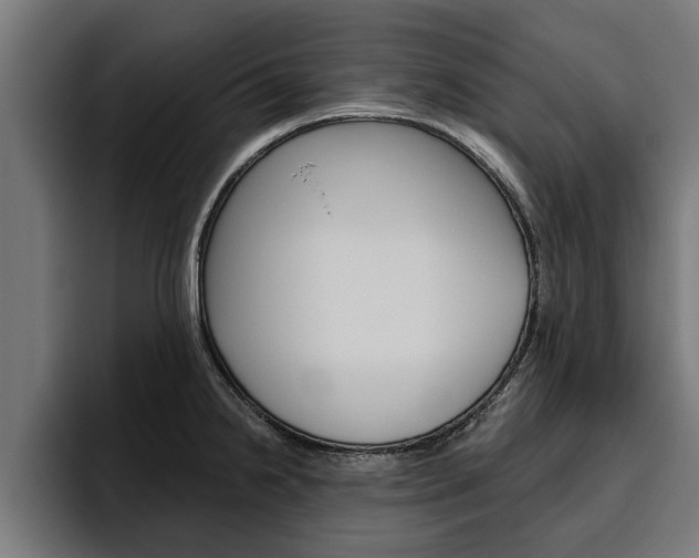 X0000094771238200711160824