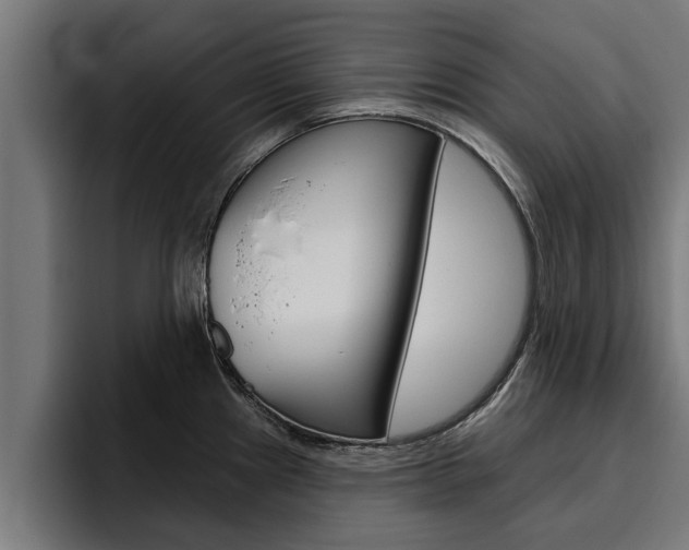 X0000094771241200711160824