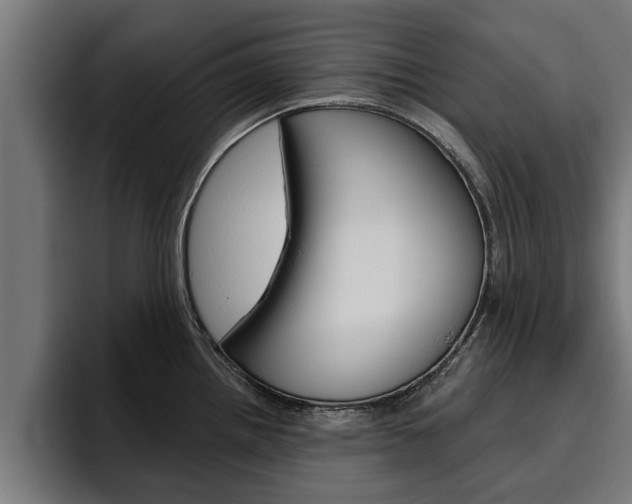 X0000094771242200711160824