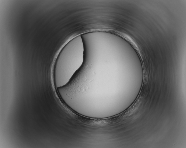X0000094771243200711160824