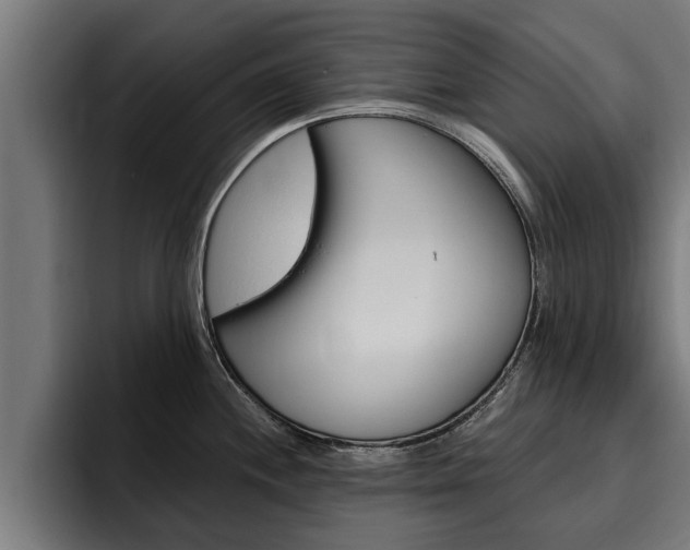X0000094771244200711160824