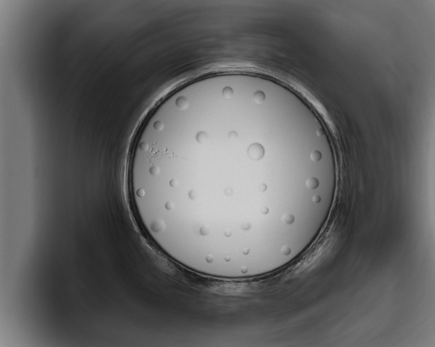 X0000094771245200711160824