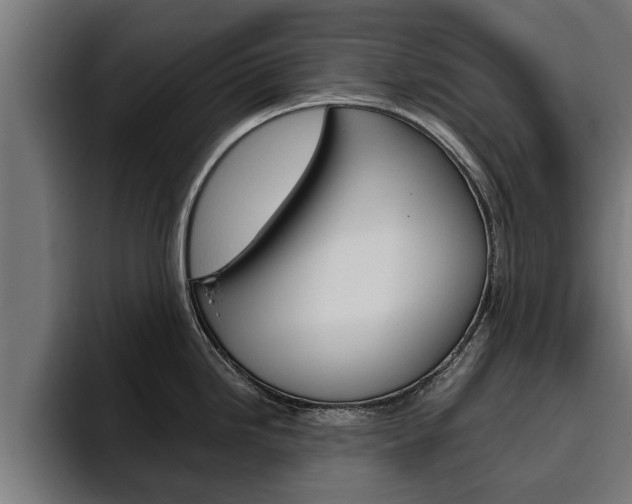 X0000094771246200711160824