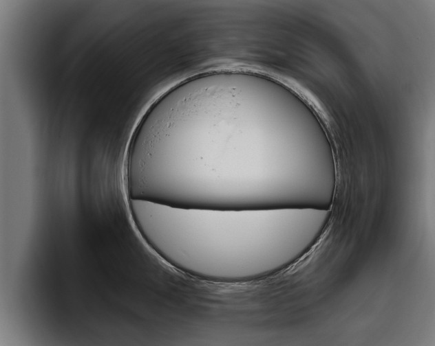 X0000094771247200711160824