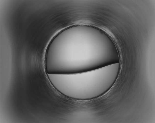 X0000094771248200711160824