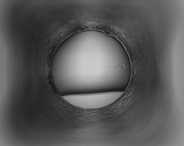 X0000094771253200711160823