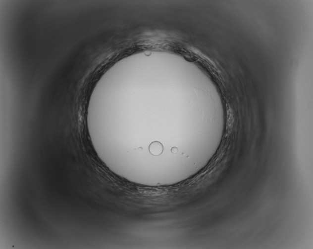 X0000094771254200711160823