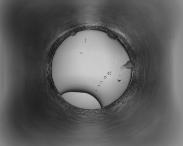 X0000094771255200711160823