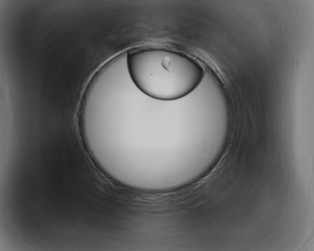 X0000094771260200711160823