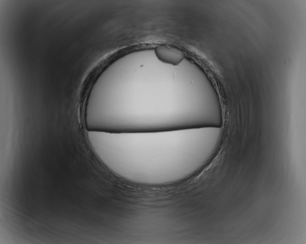 X0000094771262200711160823