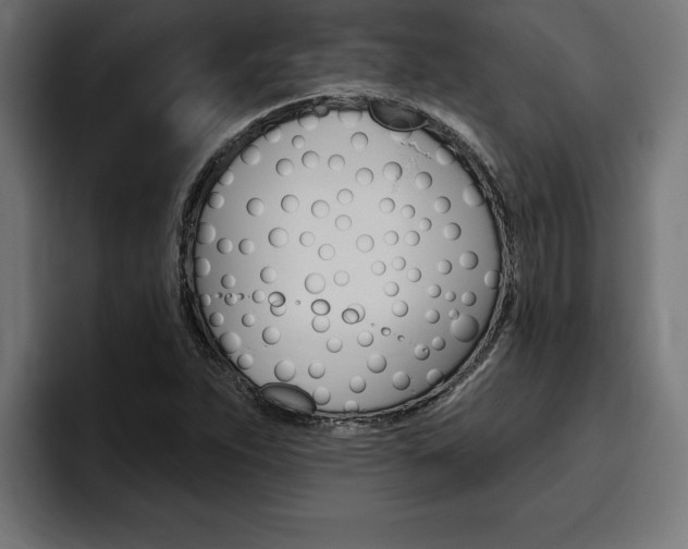 X0000094771263200711160823