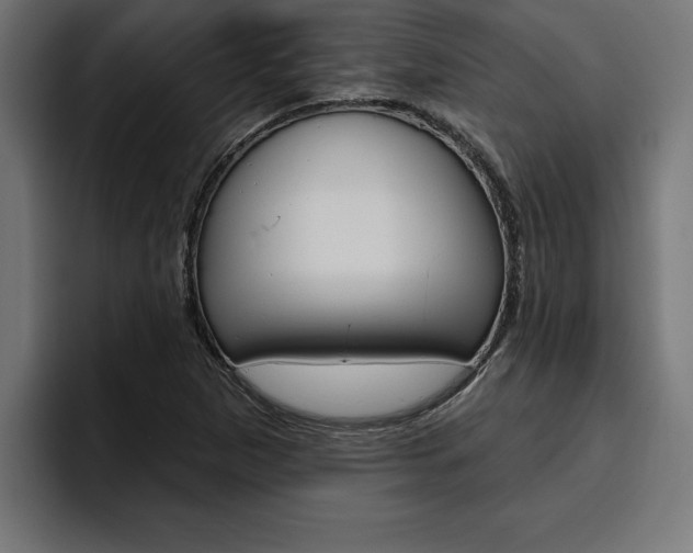 X0000094771265200711160823