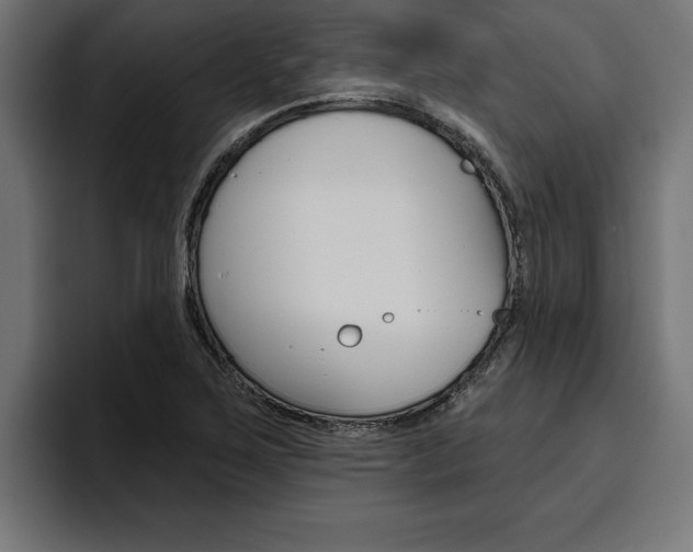 X0000094771267200711160823