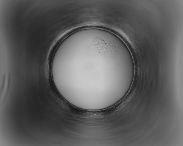 X0000094771270200711160823