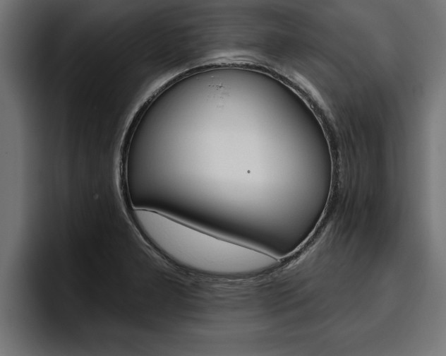 X0000094771277200711160823
