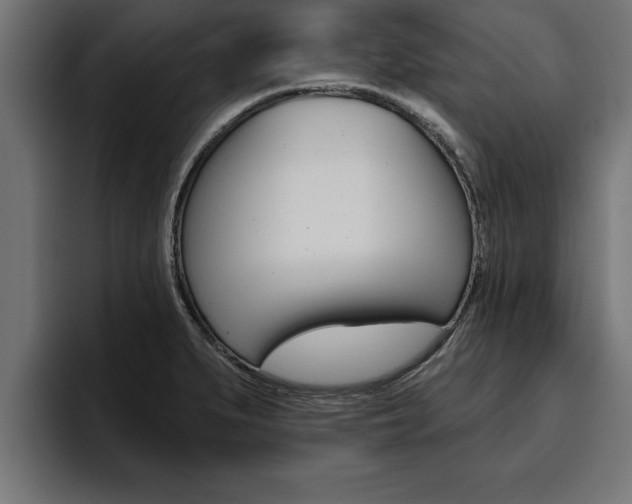 X0000094771279200711160823