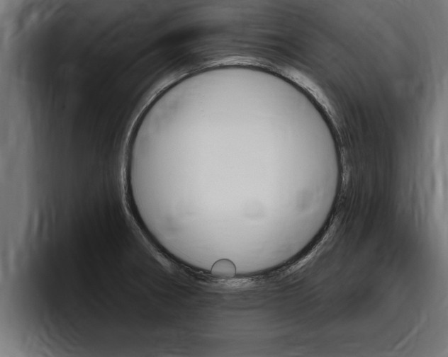 X0000094771282200711160823