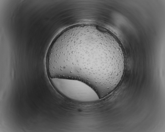X0000094771283200711160823