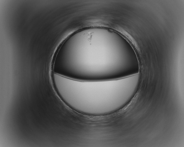 X0000094771285200711160823