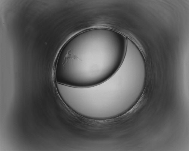 X0000094771292200711160823
