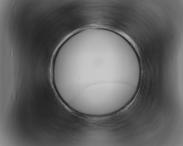 X0000094771294200711160823