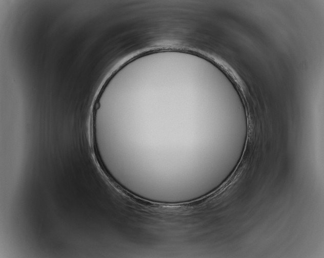 X0000094771295200711160823