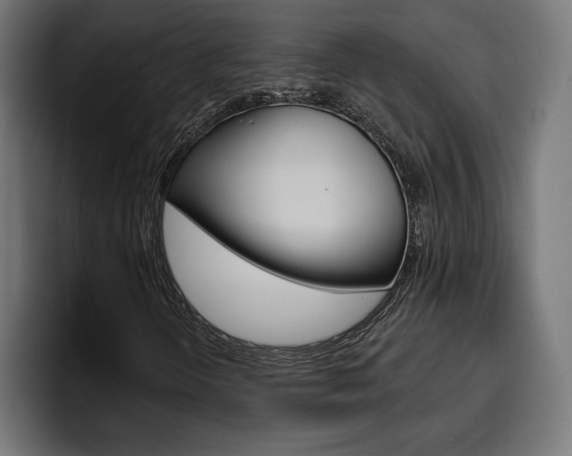 X0000094771298200711160822