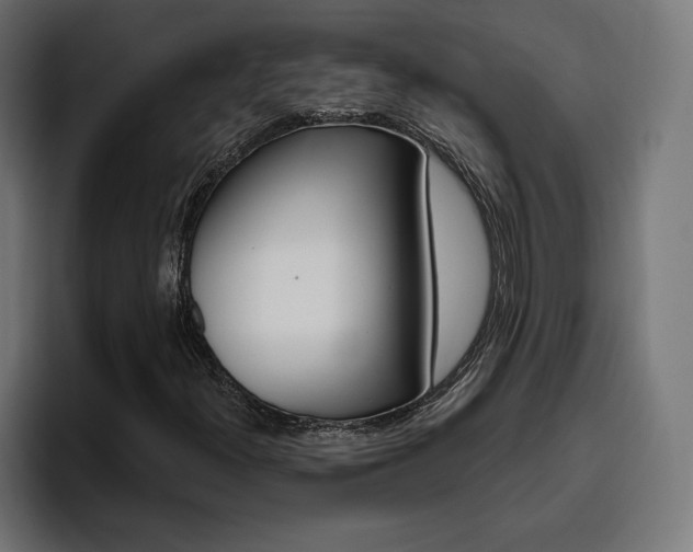X0000094771300200711160822