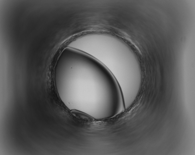 X0000094771304200711160822