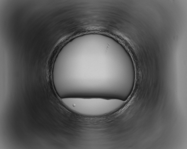 X0000094771306200711160822