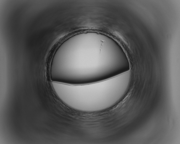 X0000094771307200711160822
