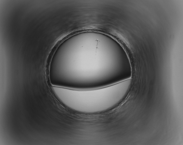 X0000094771308200711160822