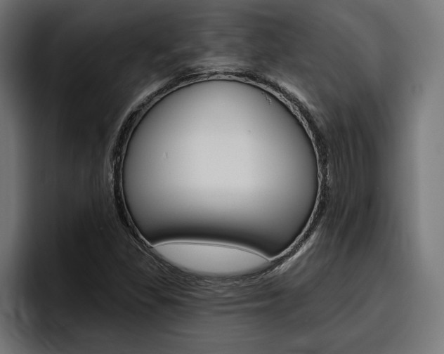 X0000094771309200711160822