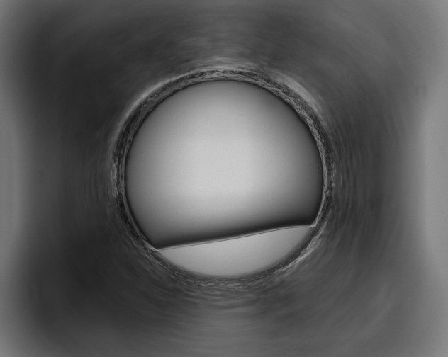X0000094771310200711160822