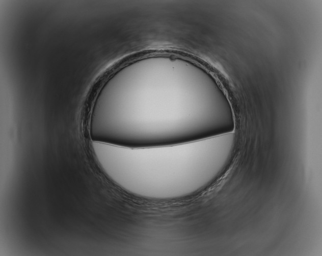 X0000094771311200711160822