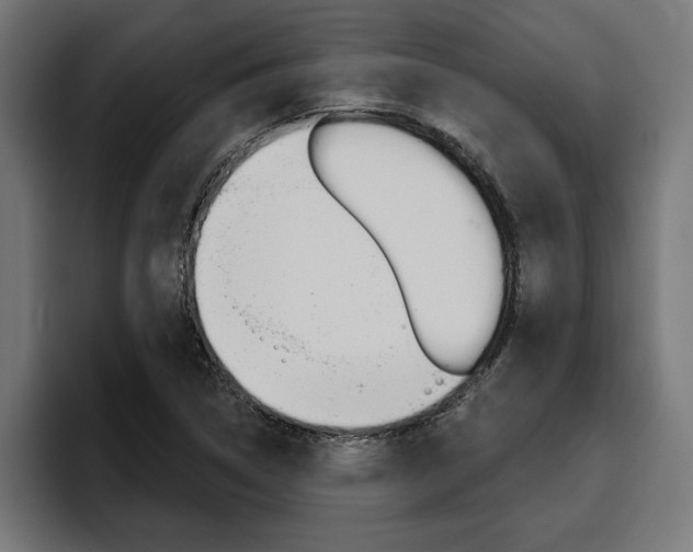 X0000094771314200711160822