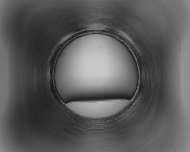 X0000094771315200711160822