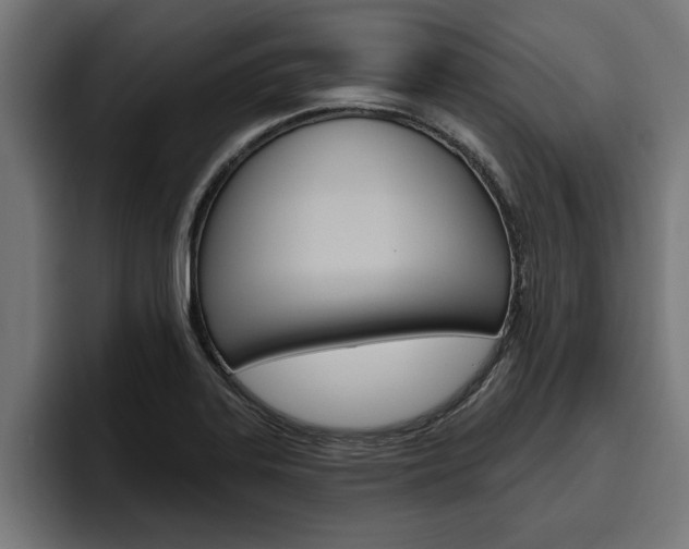X0000094771323200711160822