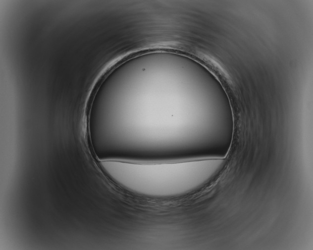 X0000094771324200711160822