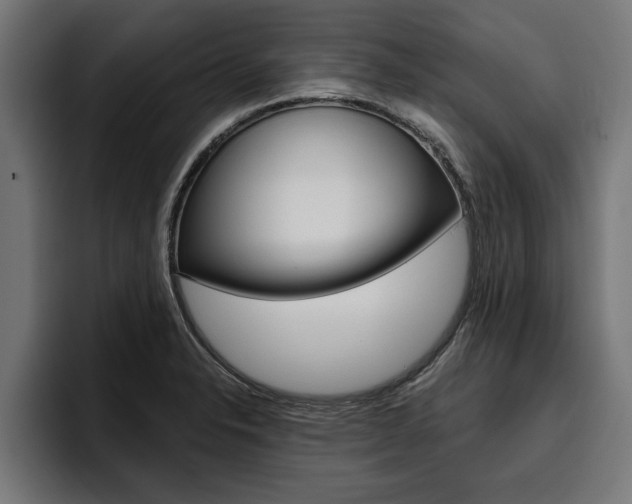 X0000094771326200711160822